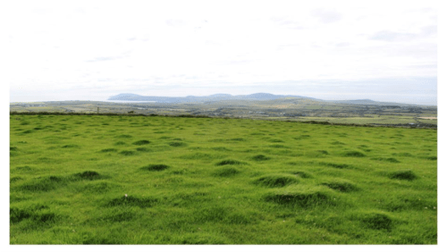 Views of Meillionydd